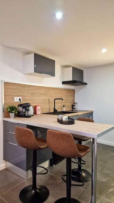 圣艾蒂安L'Atelier C Magnifique Loft Avec Terrasse Privee公寓 外观 照片